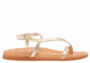 Sandales Bride Arrière Ancient Greek Sandals Aimilia   | TGI-4712572